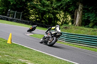 cadwell-no-limits-trackday;cadwell-park;cadwell-park-photographs;cadwell-trackday-photographs;enduro-digital-images;event-digital-images;eventdigitalimages;no-limits-trackdays;peter-wileman-photography;racing-digital-images;trackday-digital-images;trackday-photos